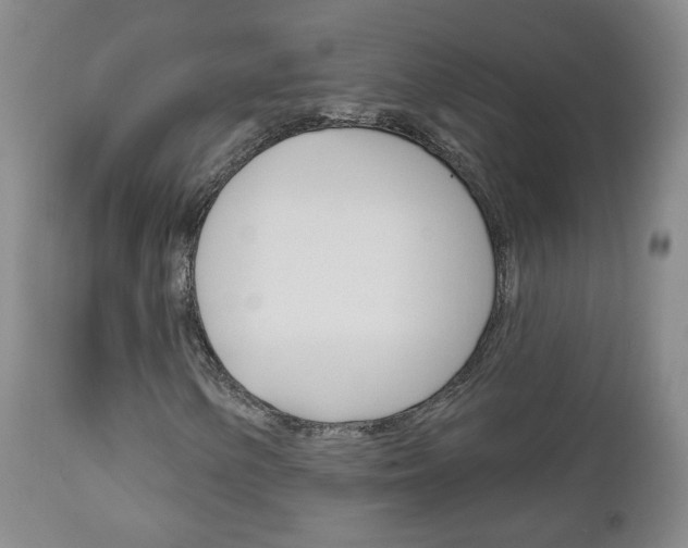 X0000111181154200907011026