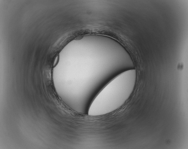 X0000111181155200907011026
