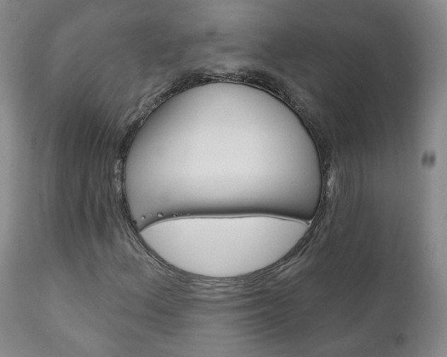 X0000111181156200907011026