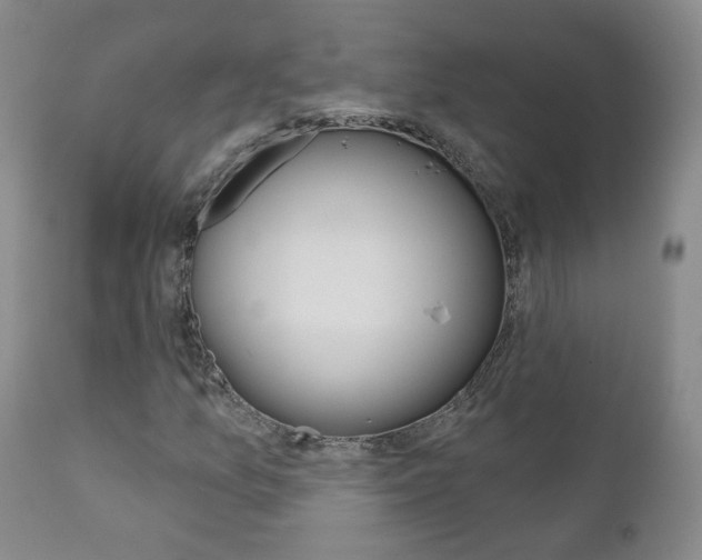 X0000111181157200907011026