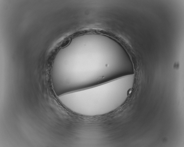 X0000111181159200907011026