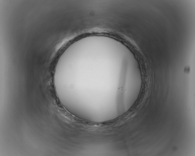 X0000111181160200907011026