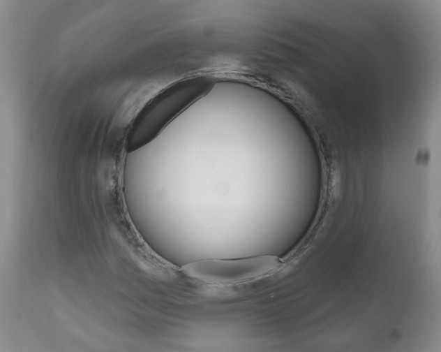 X0000111181161200907011026