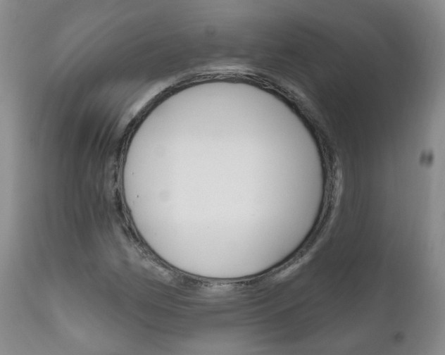 X0000111181162200907011026