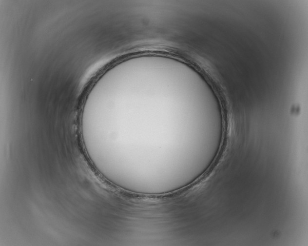X0000111181164200907011025