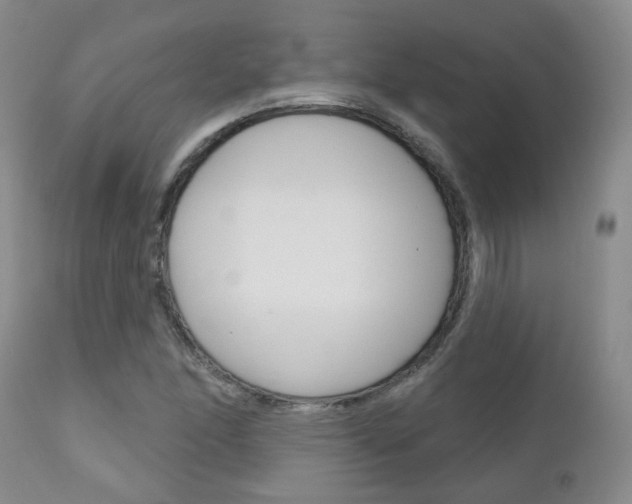 X0000111181166200907011025