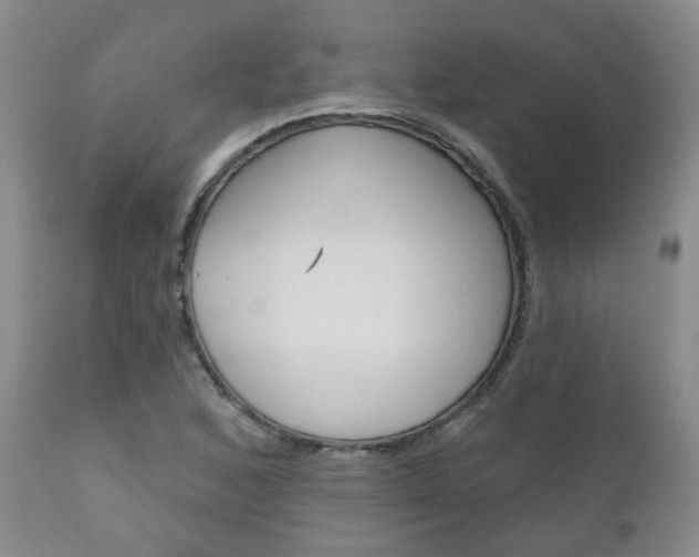 X0000111181168200907011025
