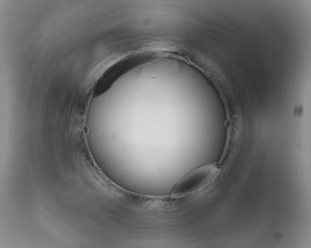 X0000111181169200907011025
