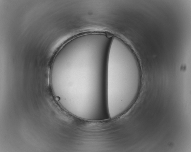 X0000111181171200907011025