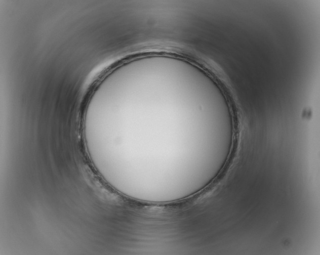 X0000111181172200907011025