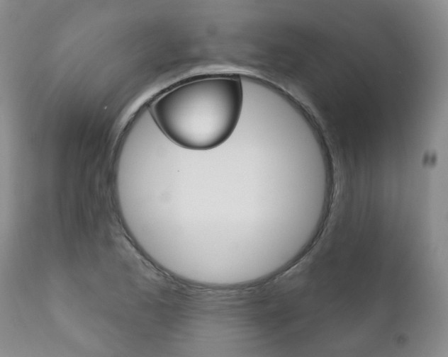 X0000111181173200907011025