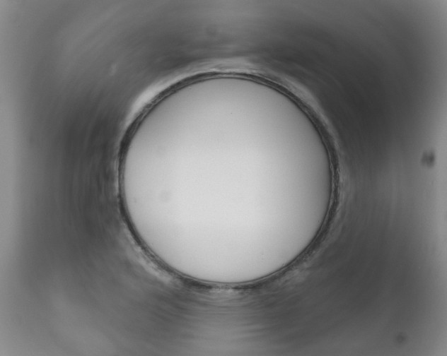 X0000111181176200907011025