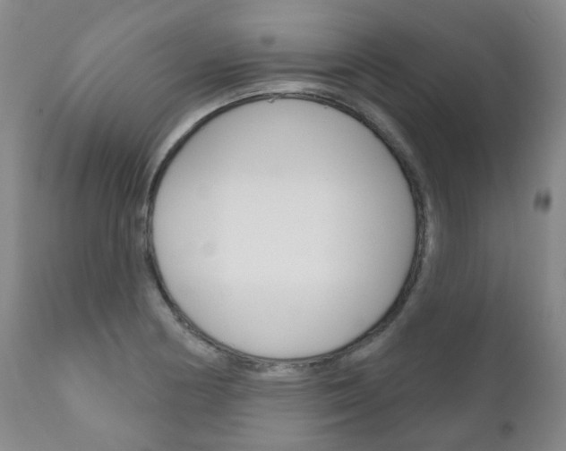 X0000111181178200907011025