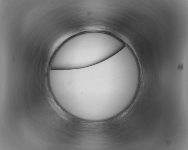 X0000111181179200907011025