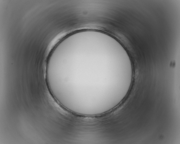 X0000111181180200907011025