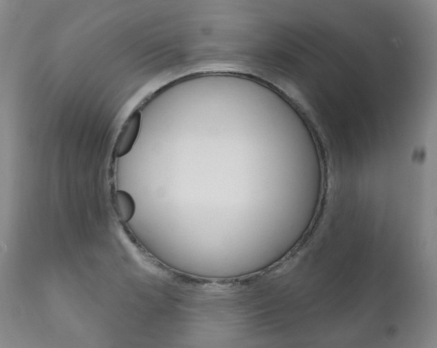 X0000111181181200907011025