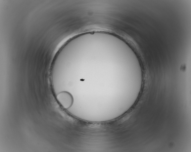 X0000111181182200907011025