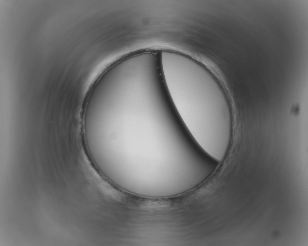X0000111181183200907011025