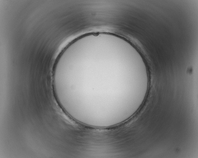 X0000111181184200907011025