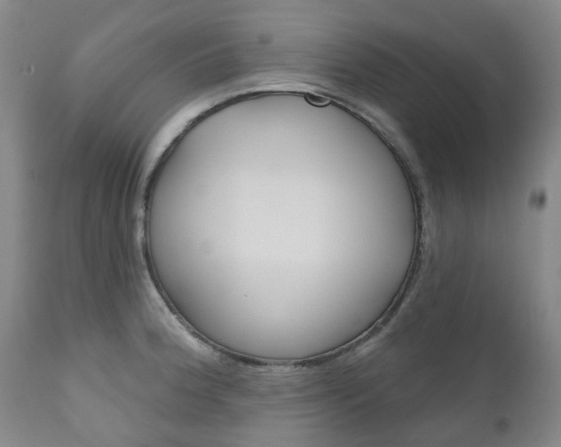 X0000111181188200907011025