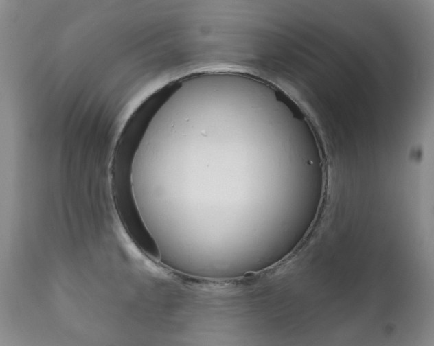 X0000111181189200907011025