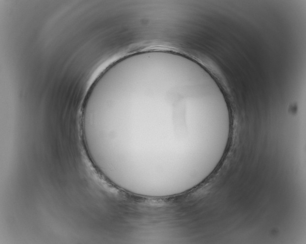 X0000111181190200907011025