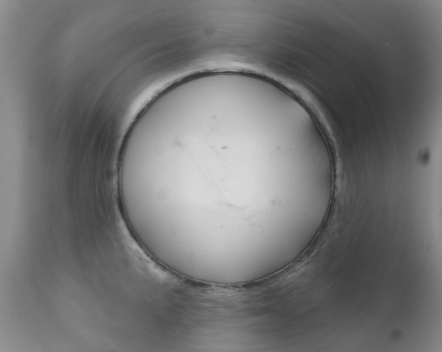 X0000111181191200907011025