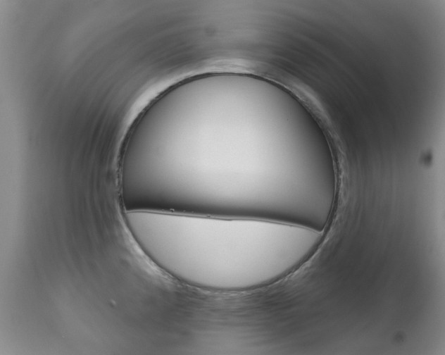 X0000111181192200907011025