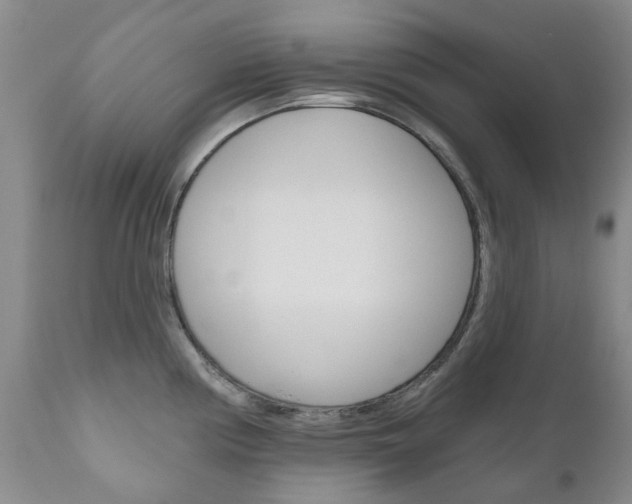 X0000111181194200907011025