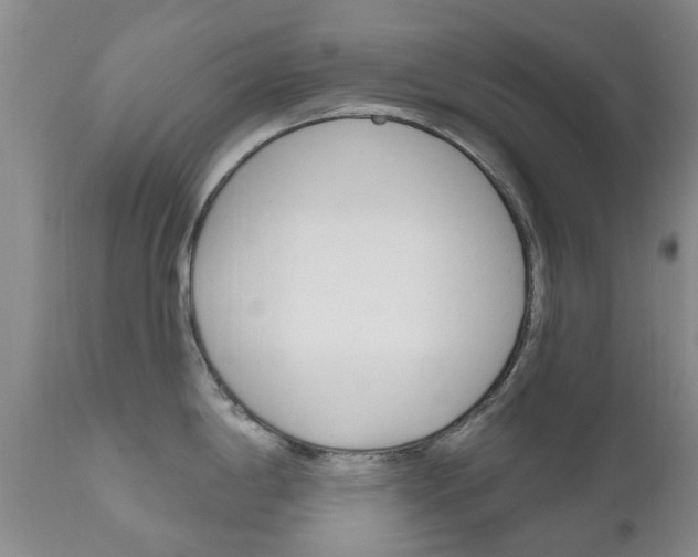 X0000111181198200907011025