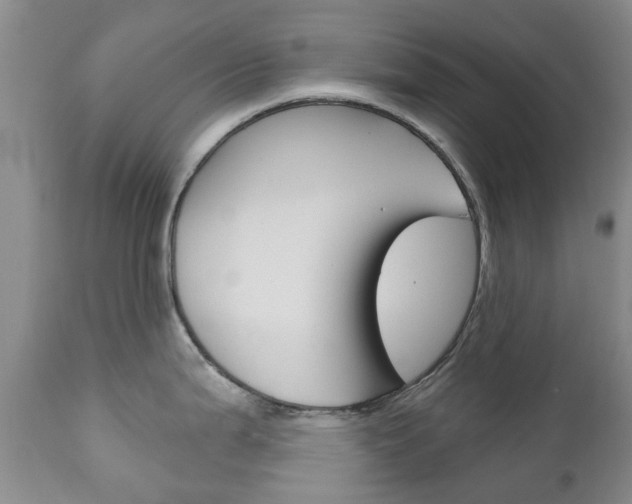 X0000111181199200907011025