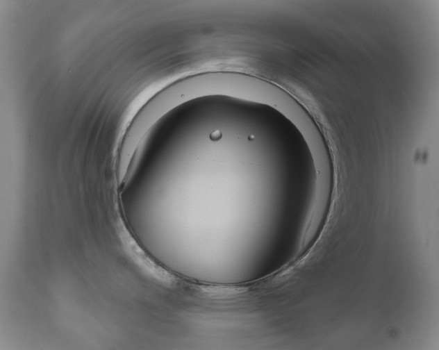 X0000111181200200907011025