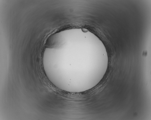 X0000111181201200907011024
