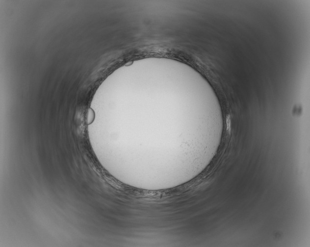X0000111181203200907011024