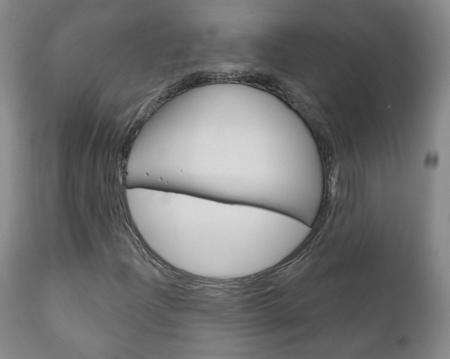X0000111181204200907011024