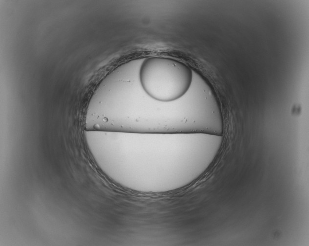 X0000111181205200907011024