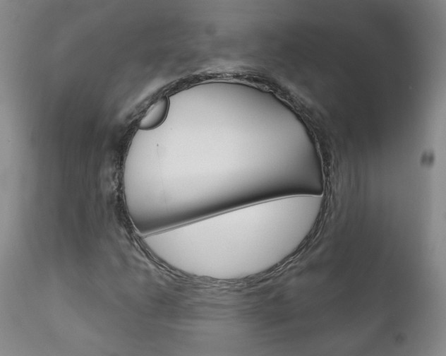 X0000111181206200907011024