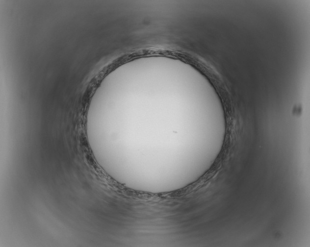 X0000111181207200907011024
