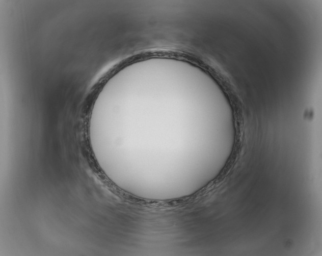 X0000111181208200907011024
