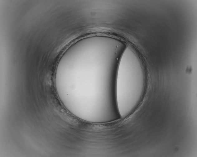 X0000111181209200907011024