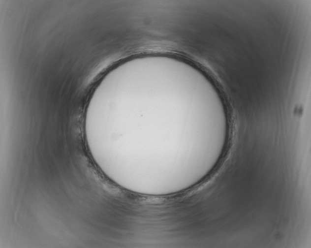 X0000111181211200907011024