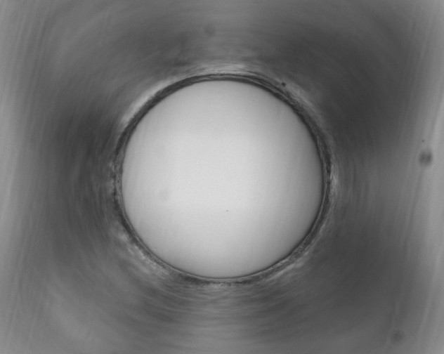 X0000111181212200907011024