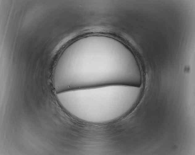 X0000111181213200907011024