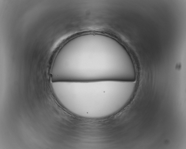 X0000111181214200907011024