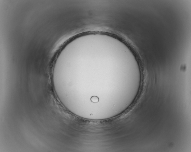 X0000111181215200907011025