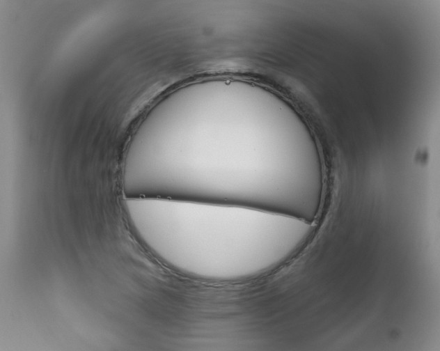 X0000111181217200907011025