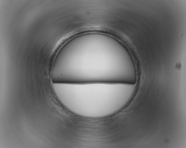 X0000111181218200907011025