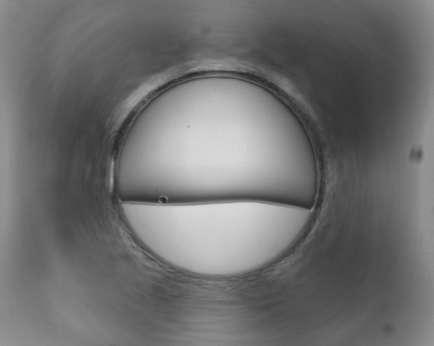 X0000111181221200907011025