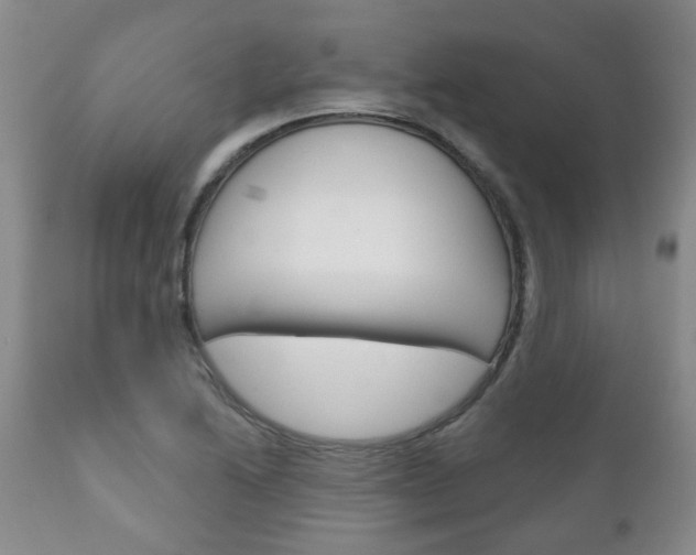 X0000111181222200907011025