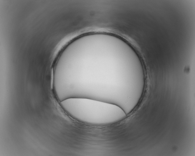X0000111181223200907011025